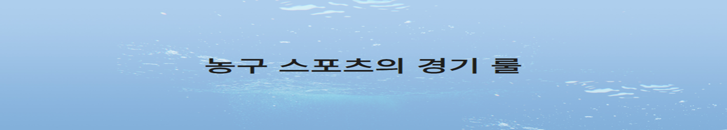 농구 스포츠의 경기 룰